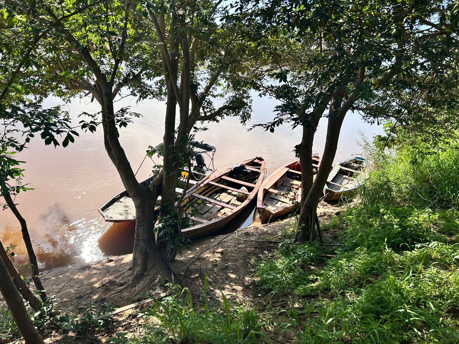 Floresta Viva no rio Parnaíba: entenda como funciona o programa